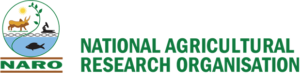 NARO Logo